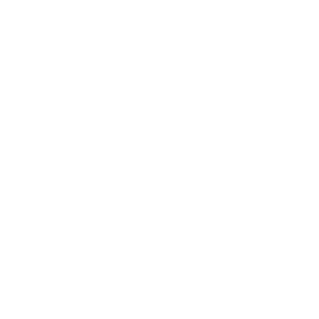 NMHealth Logo White